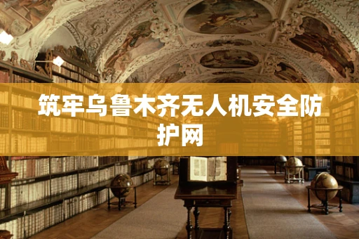 筑牢乌鲁木齐无人机安全防护网