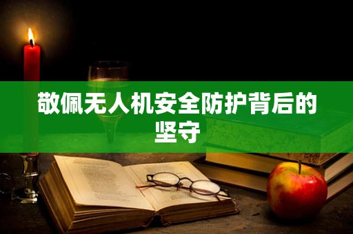 敬佩无人机安全防护背后的坚守