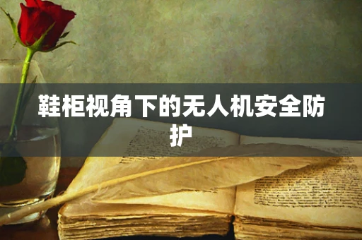 鞋柜视角下的无人机安全防护