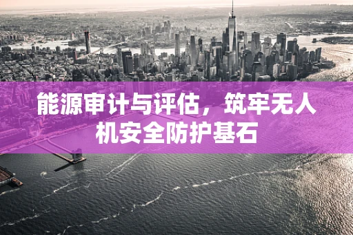 能源审计与评估，筑牢无人机安全防护基石