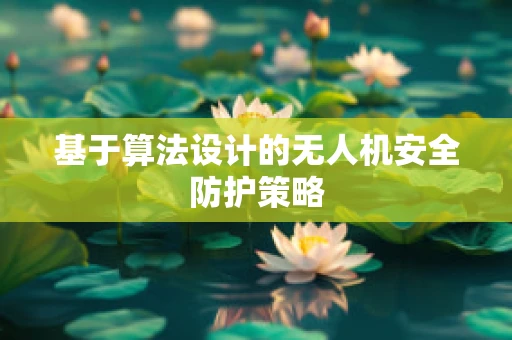 基于算法设计的无人机安全防护策略